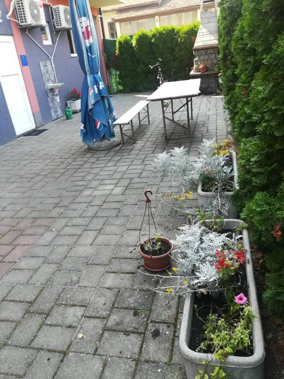 Guesthouse Sava Slavonski Brod Zewnętrze zdjęcie