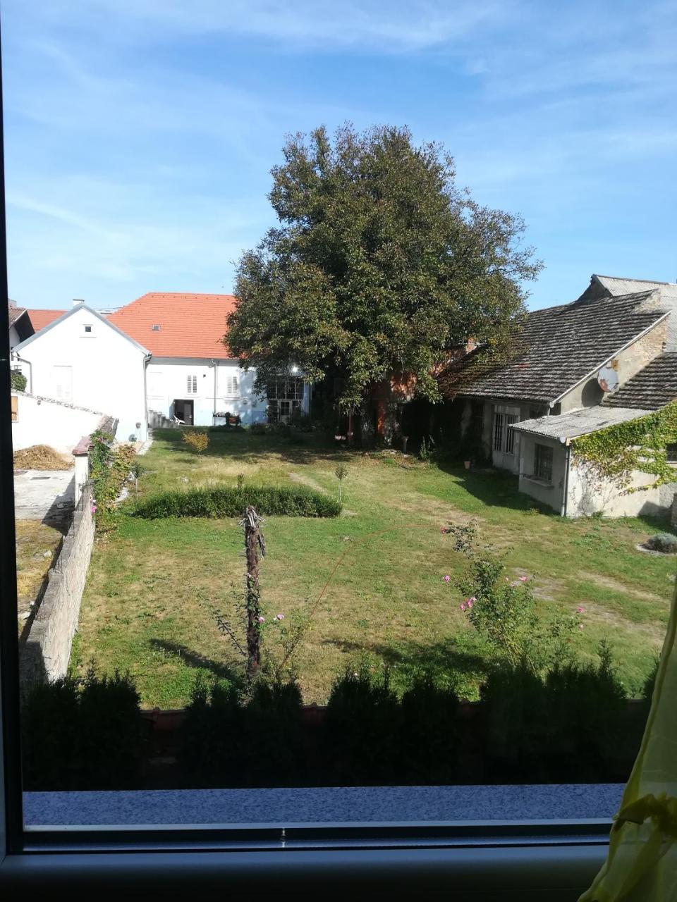 Guesthouse Sava Slavonski Brod Zewnętrze zdjęcie